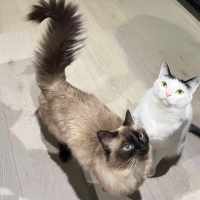 Photo of Nini & Ekko