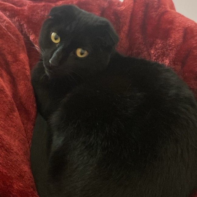 Photo of C1421 Marlow