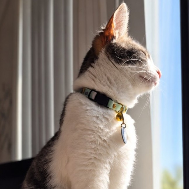 Photo of Little Miss