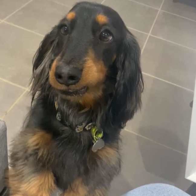 Photo of Bailey And Bentley