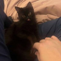 Photo of Binxy