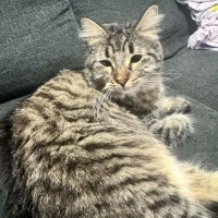 Photo of Prue