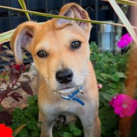 Photo of D1165 Wilson