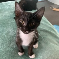 Photo of Zuko