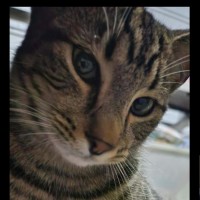 Photo of Ashley, Milo, Teddy