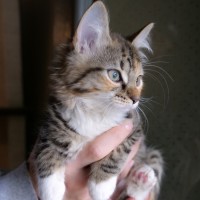 Photo of Barbie