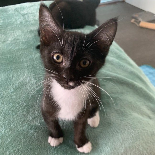 Photo of Zuko