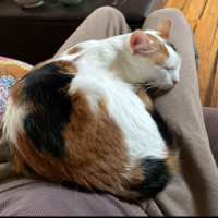 Photo of Kiki