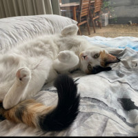 Photo of Chanel And Dolce