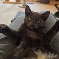 Photo of Leonardo
