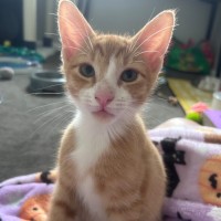 Photo of Cali And Rambo 🌈 