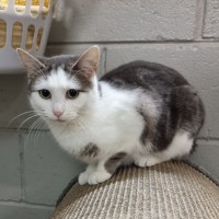 Photo of Lola