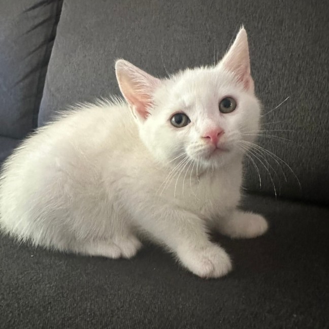 Photo of Sailor