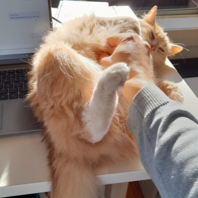 Photo of Oopsy