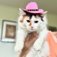 Photo of Miss Lizzie