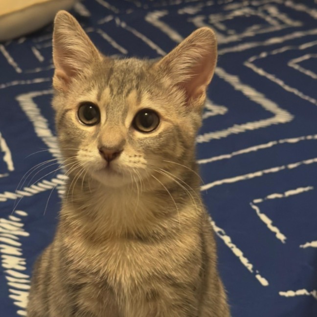 Photo of Perla/Winnie