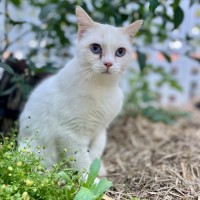 Photo of Bianca