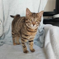 Photo of Willow 🌱