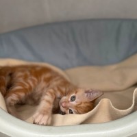 Photo of Eddie