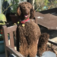 Photo of Xander