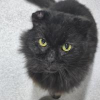 Photo of 🎣 Greg 6702 🎣