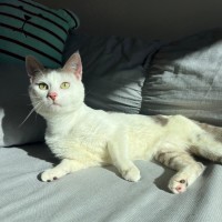 Photo of Bobby