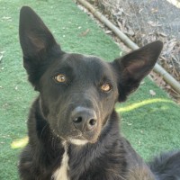 Photo of Max