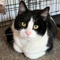 Photo of Felix   Can Transport To You