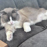 Photo of Cloudi And Zani