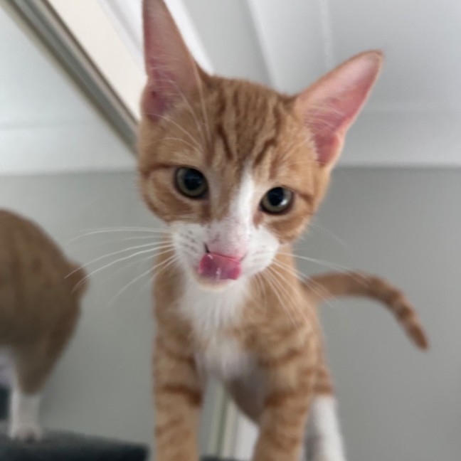 Photo of Cali And Rambo 🌈 