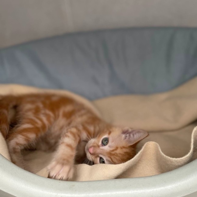 Photo of Eddie