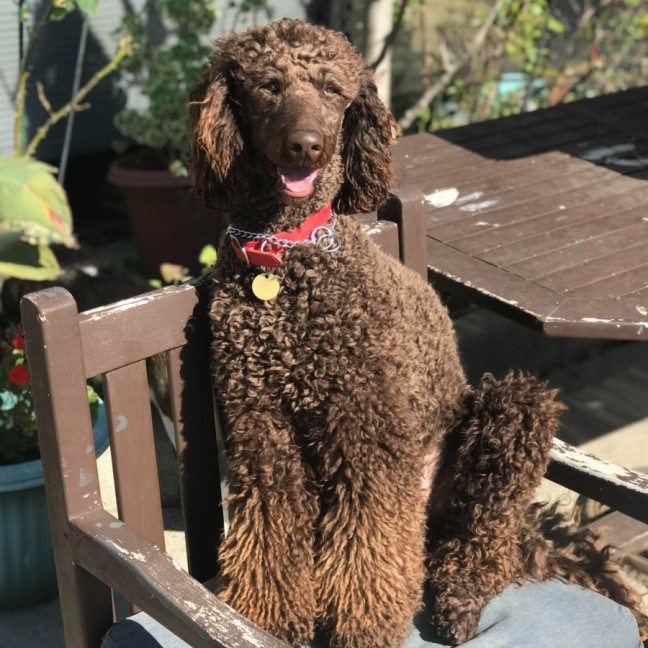 Photo of Xander