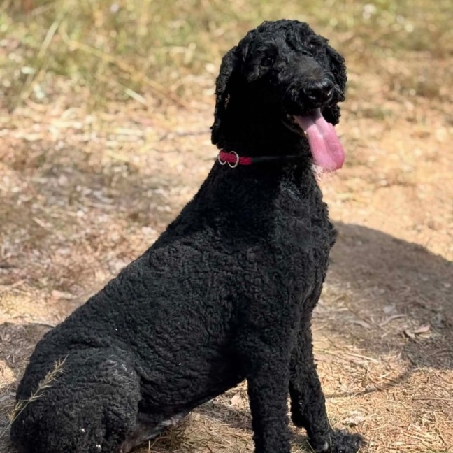 Photo of Whitney