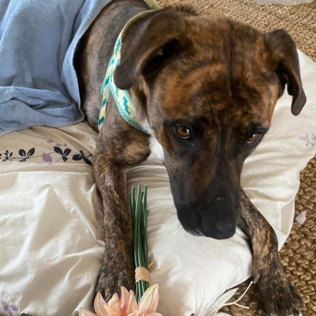 Photo of Trivial Pursuit