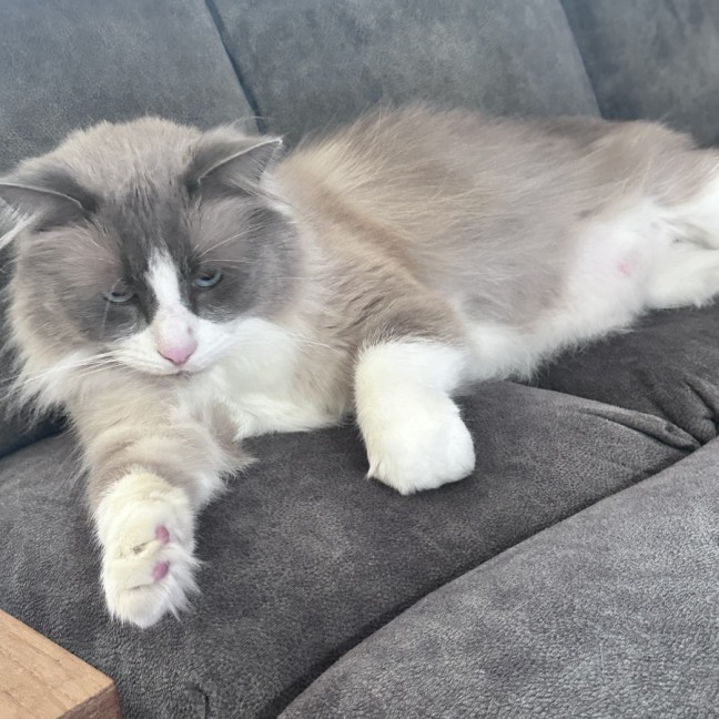 Photo of Cloudi And Zani