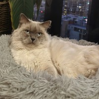 Photo of Louie