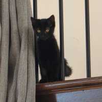 Photo of Morgana 