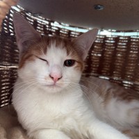 Photo of 🧡Arisaka🧡