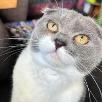 Photo of 🌜Moonshine🌛