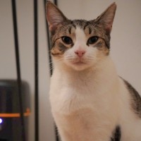 Photo of Gigi