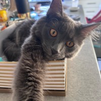 Photo of Einstein 🧬