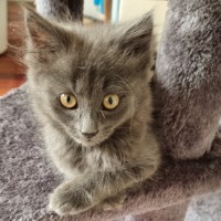 Photo of Macy 