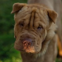Photo of Wrinkles