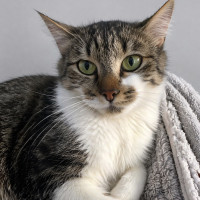 Photo of Whimsy