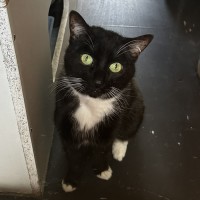 Photo of Sparkles