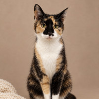 Photo of Phoebe