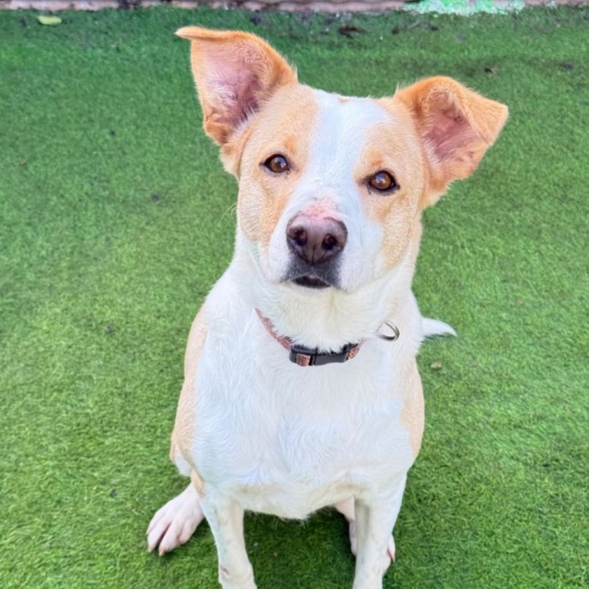 Photo of Maisy