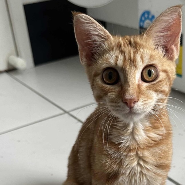 Photo of Jasper