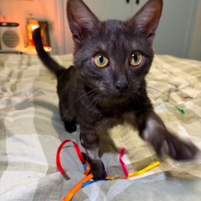 Photo of Mabel