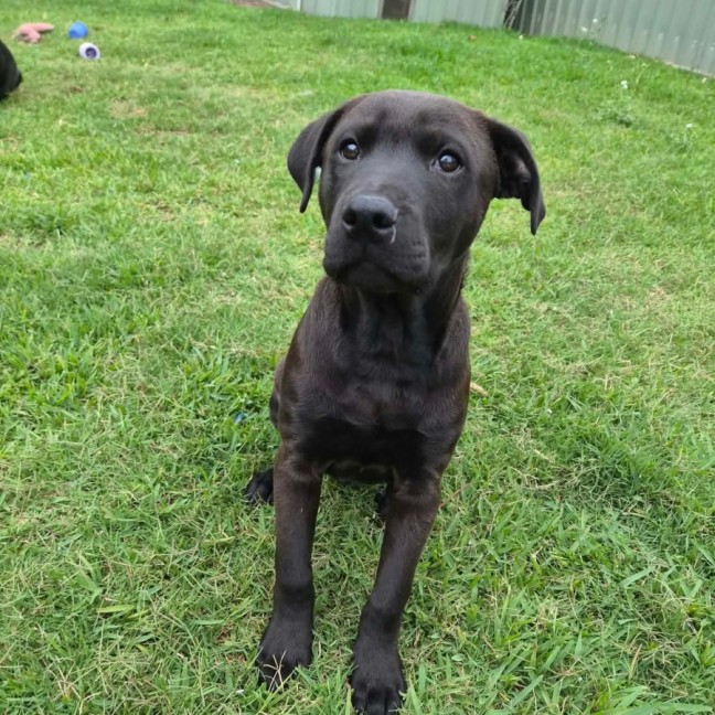Photo of Gus